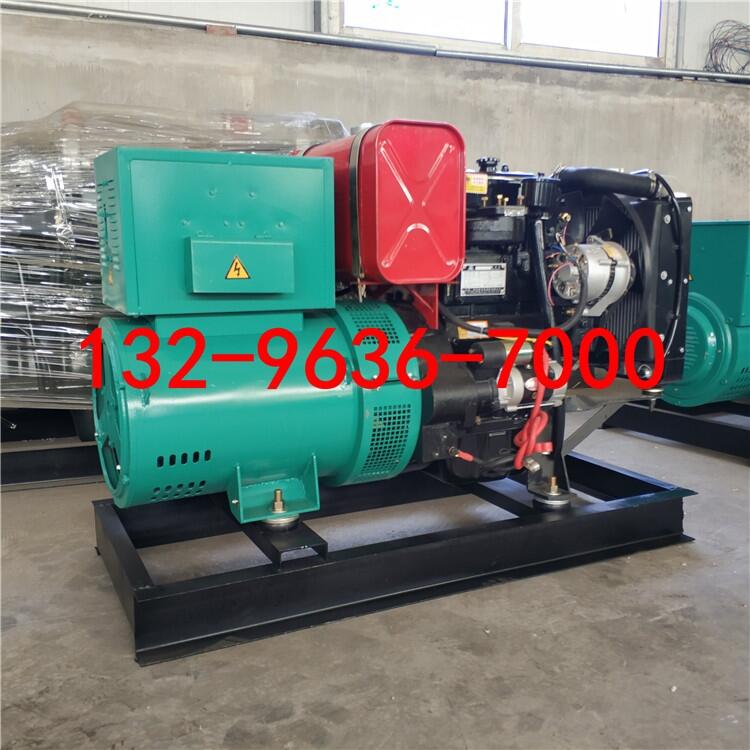 梅河口養(yǎng)殖場用濰柴250KW柴油發(fā)電機(jī)組工作視頻