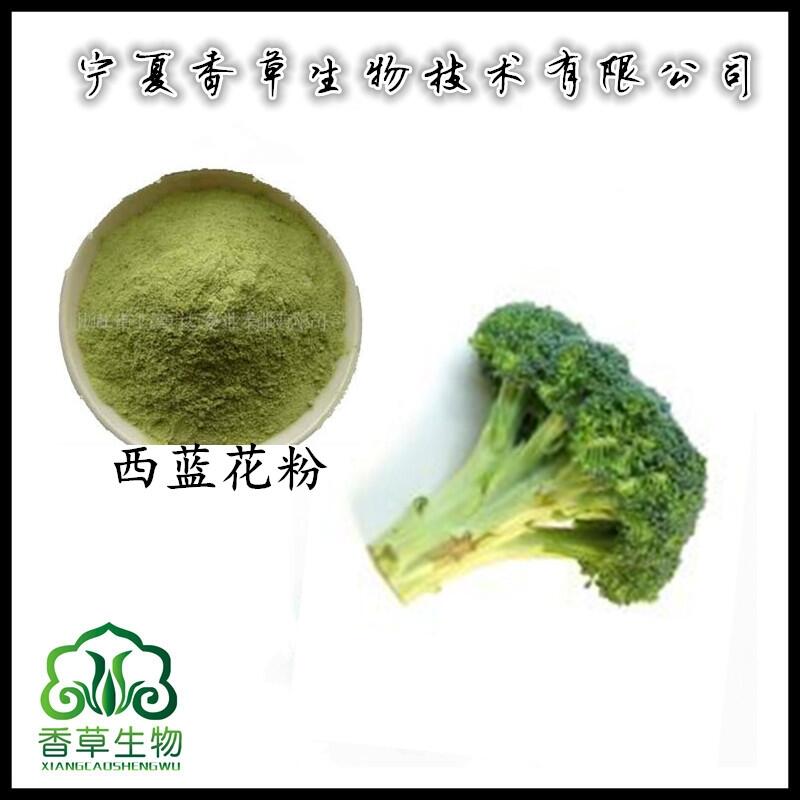 西藍花粉出廠價 西藍花芽提取物 浸膏粉  西蘭花濃縮液