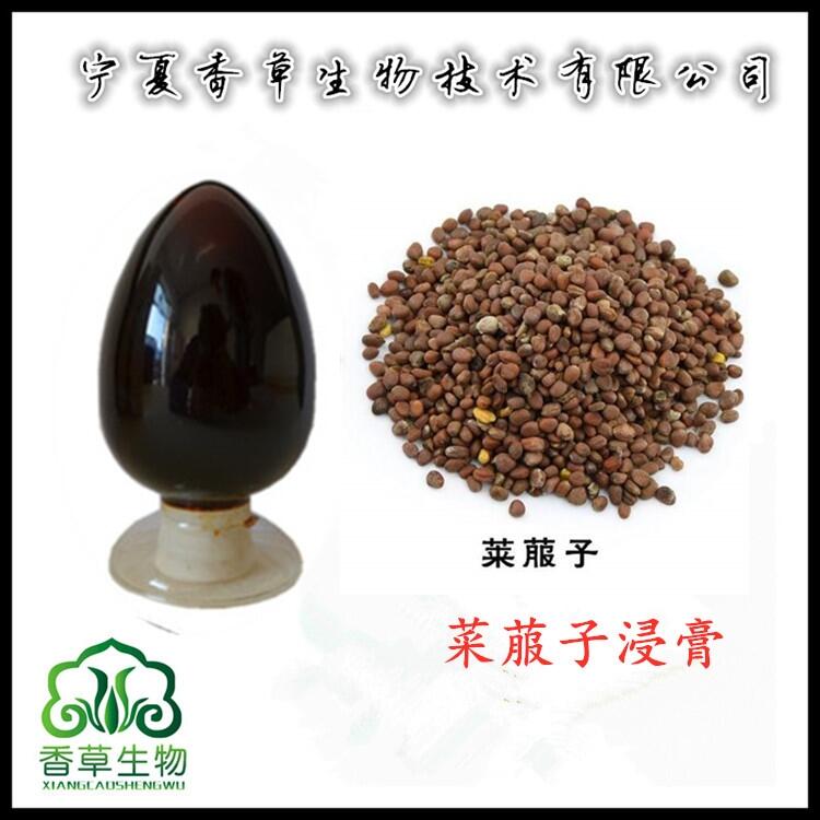 菜菔素20% 菜菔子粉 精細(xì)純粉批發(fā) 蘿卜籽提取物 濃縮液供應(yīng)