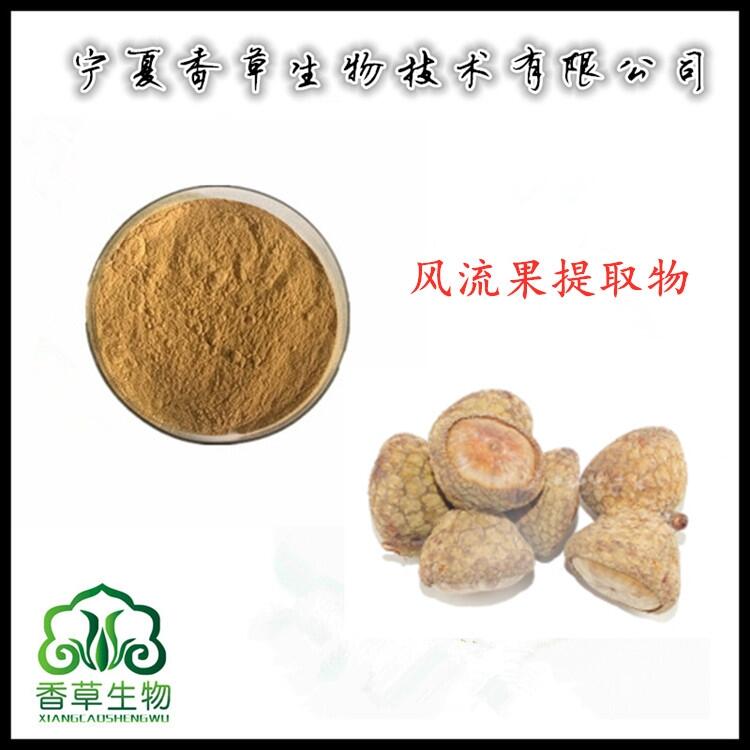 風(fēng)流果提取物 濃縮粉水溶性 益腎子浸膏 風(fēng)流果濃縮液批發(fā)