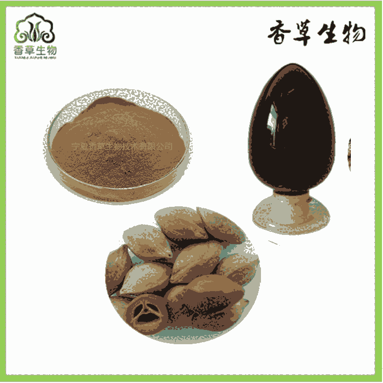 青果核提取物寧夏 白欖核濃縮速溶粉 青果核浸膏 提取液