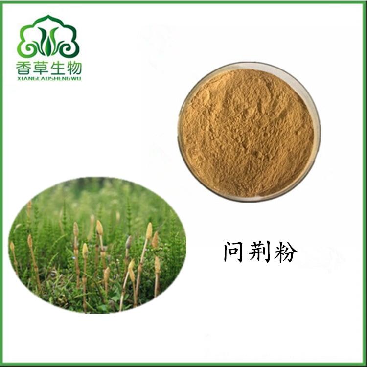 問荊皂甙粉 問荊粉水溶 濃縮粉批發(fā) 硅7%