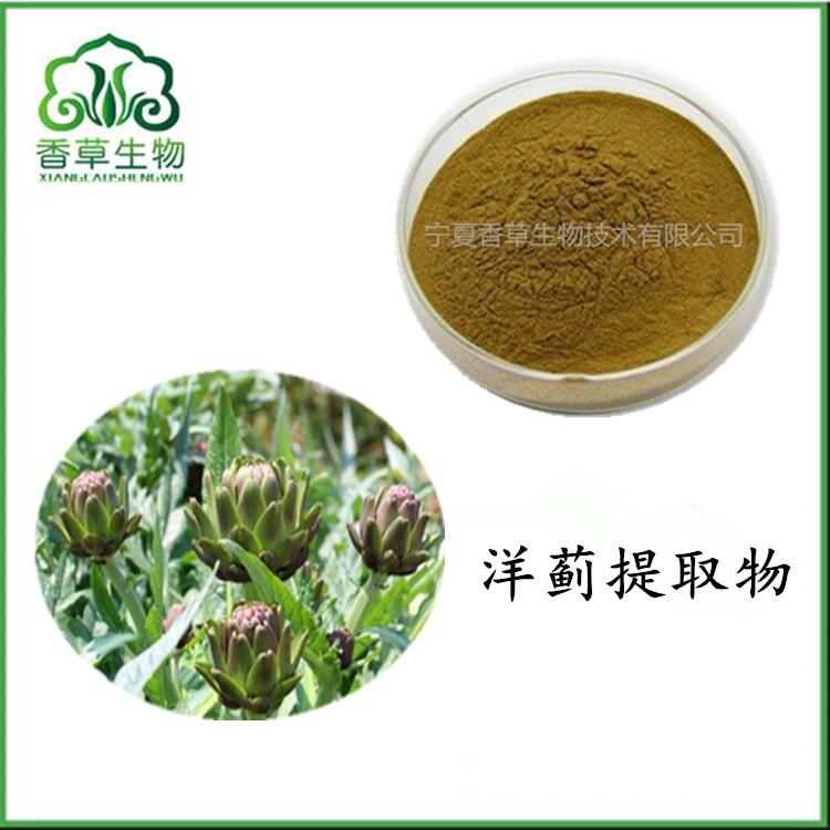 洋薊提取物寧夏 洋薊素5% 洋薊酸5%供應(yīng) 朝鮮薊提取物粉