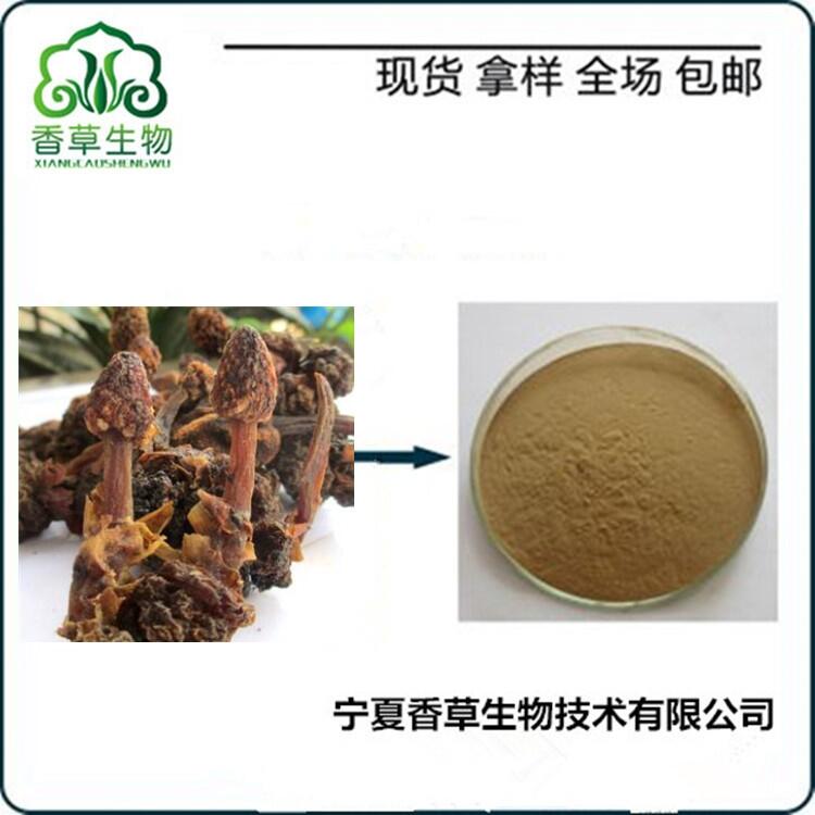 葛菌提取物水提 蛇菰粉批發(fā) 蛇菰提取液浸膏 葛藤菌速溶粉全水溶