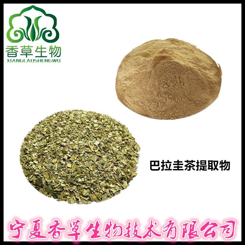 巴拉圭茶提取物 巴拉圭多酚含量 巴拉圭粉價格 馬黛茶速溶粉