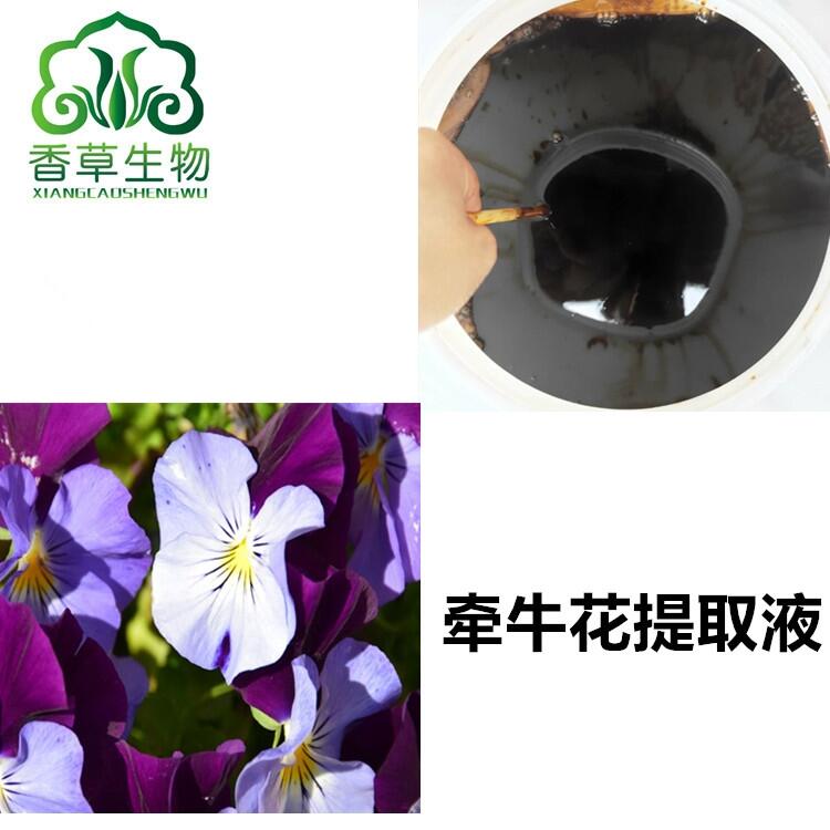 牽?；ㄌ崛∫撼鰪S價 喇叭花浸膏 流浸膏 牽?；饪s液批發(fā)
