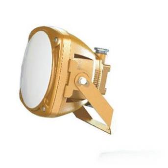 FGV1246防爆LED泛光燈FGV1246