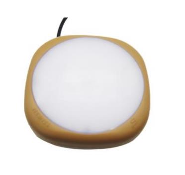 FGV1219 防爆吸頂燈