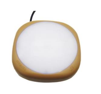 FGV1219 免維護節(jié)能防爆吸頂燈