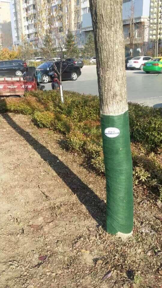 天津樹木保溫帶。天津帶膜毛氈廠家