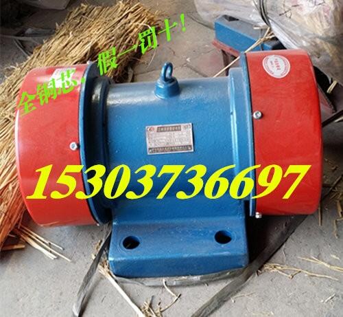 國內(nèi)YZU-30-6B 2.2KW 三相振動電機(jī)