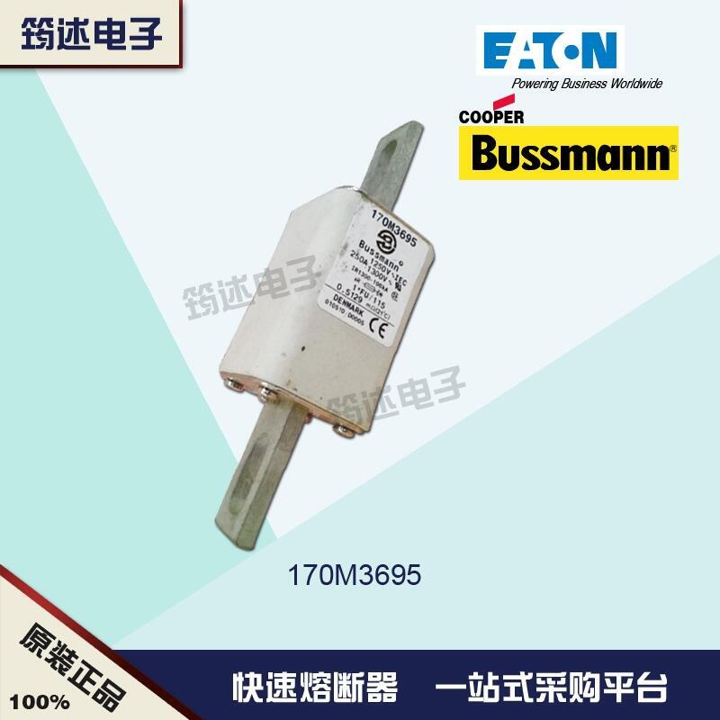 美國(guó)Bussman原裝熔斷器170M3695 1250V 250A