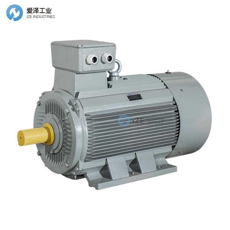 AC-MOTOREN绔搵OM-315-00001