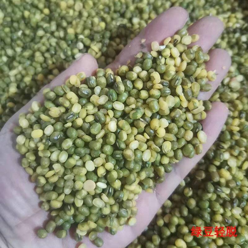 干法綠豆脫皮機(jī) 黑綠豆整粒去皮機(jī) 先進(jìn)綠豆脫皮工藝