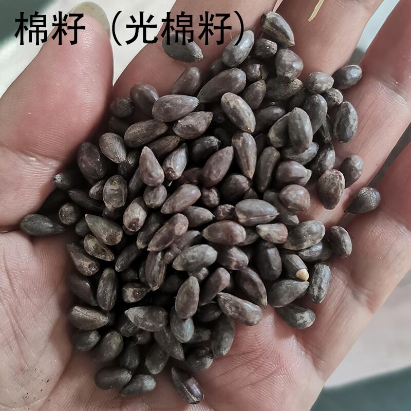 棉籽脫殼機(jī)
