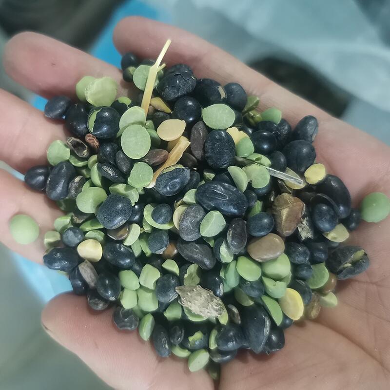 供應(yīng)次品黑豆脫皮機(jī) 色選大豆脫皮拋光機(jī)