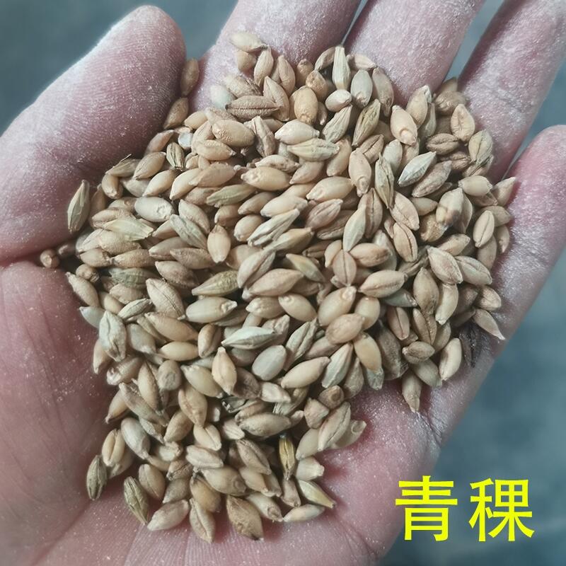 青稞脫殼機青稞脫皮機去殼機