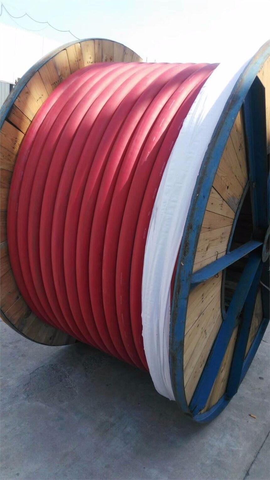 阻燃鋼絲鎧裝計(jì)算機(jī)電纜ZR-DJYVPR32-2X2X1.0.7X2X1.5