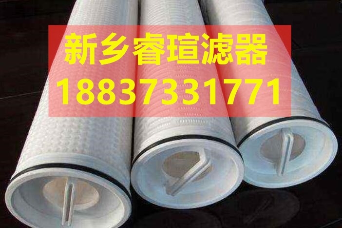 反滲透保安過濾器濾芯