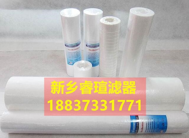 保安過濾器水濾芯