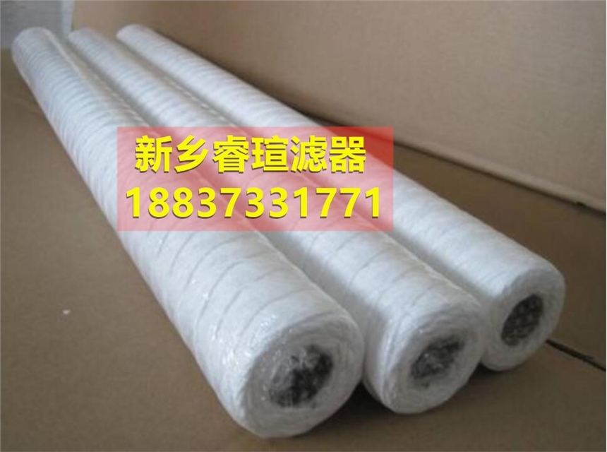 保安過濾器大流量水濾芯