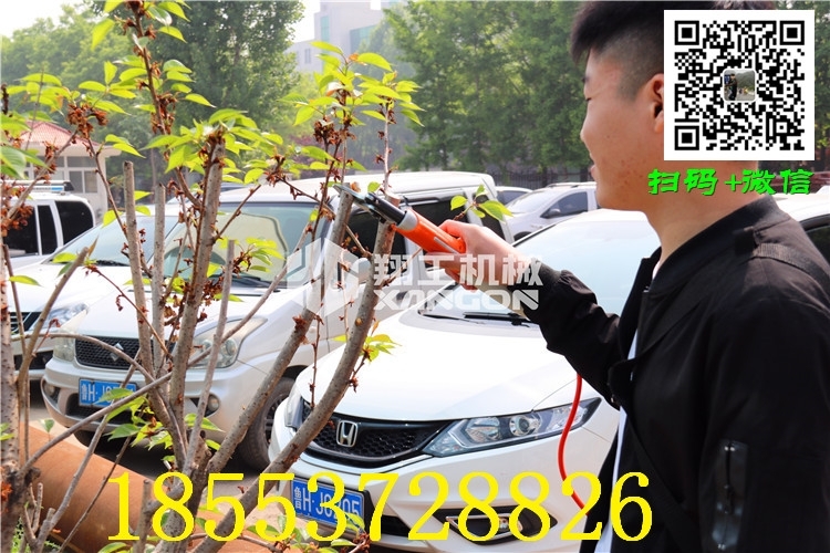鷹潭果園剪刀廠家直銷