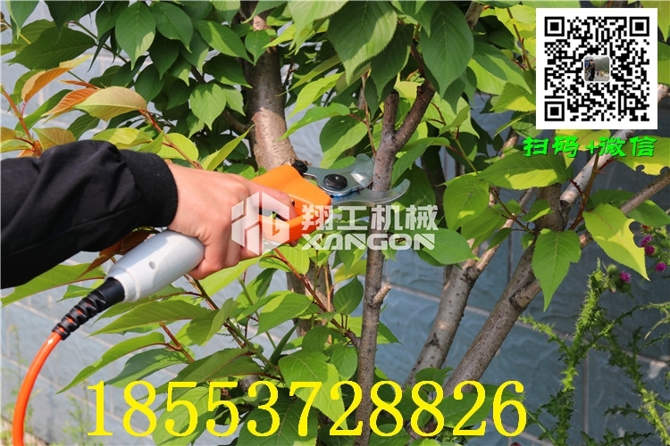 長春修枝剪刀修枝剪刀價格哪家低