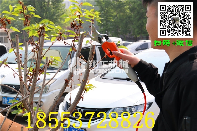 曲靖剪刀價格型號品牌圖片