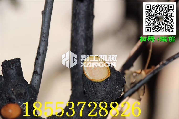 嘉峪關(guān)果園剪刀生產(chǎn)廠家