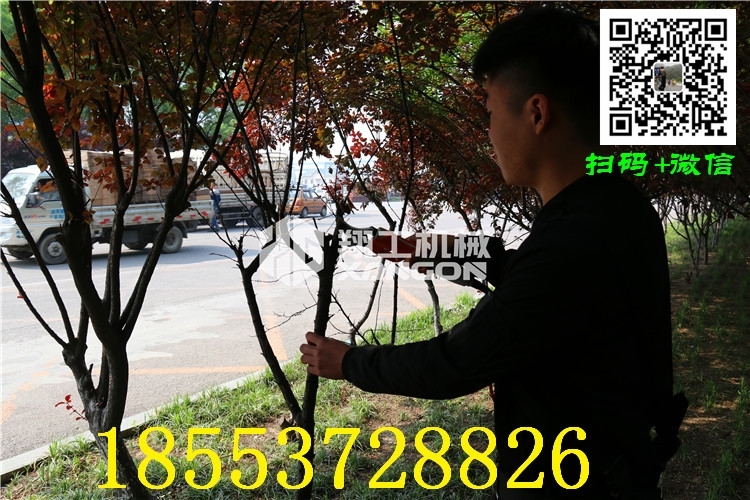 南通修枝剪刀廠家直銷