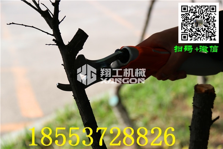 海口冬剪修枝剪刀廠家直銷