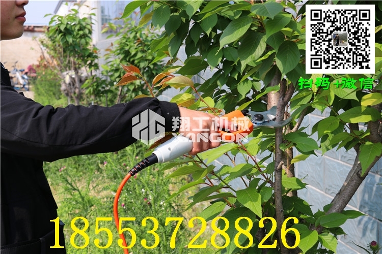 紹興冬剪修枝剪刀生產(chǎn)廠家
