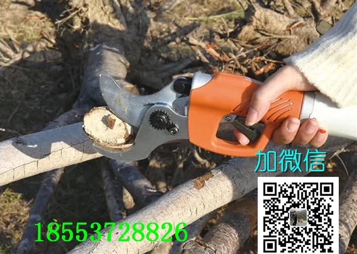 銅陵修枝剪刀廠家電話