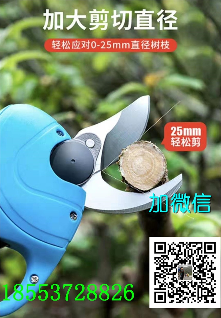 儋州高處修枝鋸哪個廠家服務(wù)好