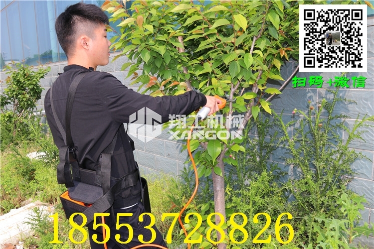 大慶園林工具修枝剪哪里有賣