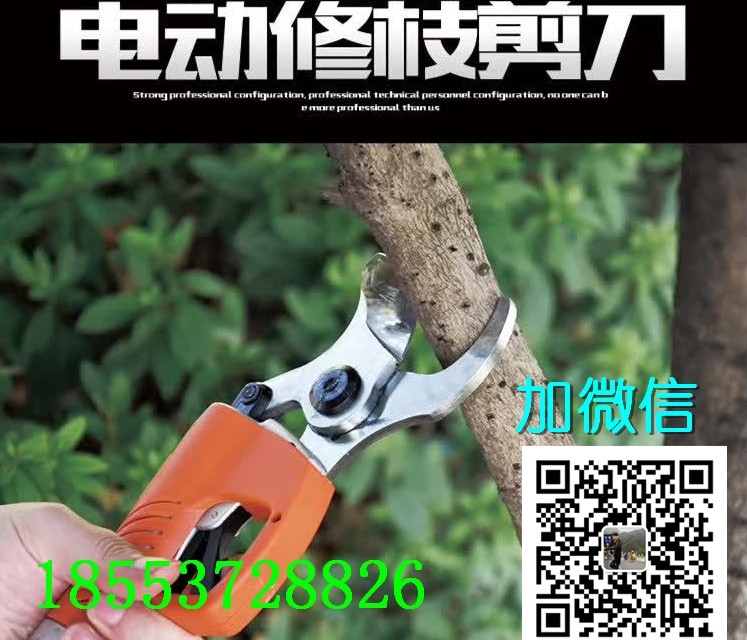 阜新修枝剪好用嗎