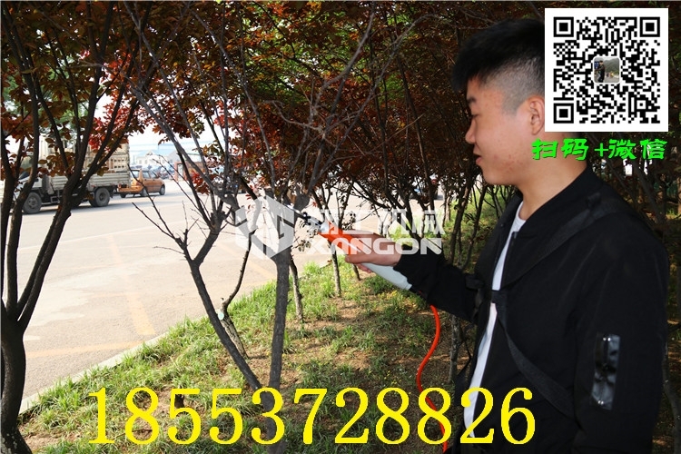安慶高枝鋸廠家直銷