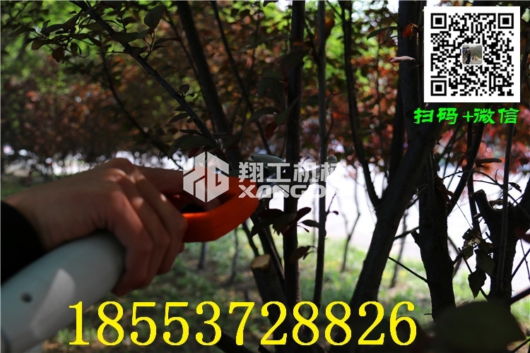 成都修枝剪價(jià)格優(yōu)惠
