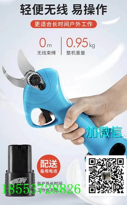 漢中冬剪修枝剪刀生產(chǎn)廠家