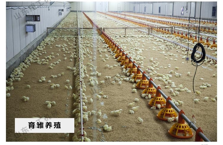 紹興養(yǎng)雞取暖設(shè)備價(jià)格哪家低電話多少