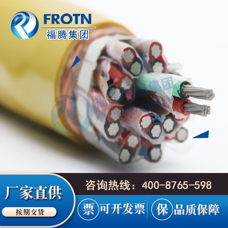 耐高溫氟塑料屏蔽KX補償導線ZRA-KX-HS-FFRP