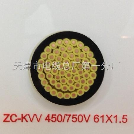 耐高溫計(jì)算機(jī)電纜ZR-DJFPVP/廠家