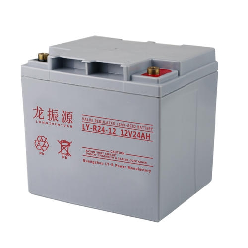龍振源蓄電池(中國)有限公司