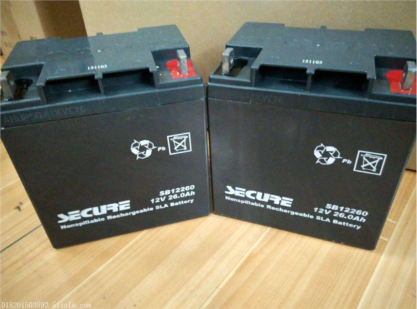 SECURE安全蓄電池SB12250 12V25AH報價及參數(shù)