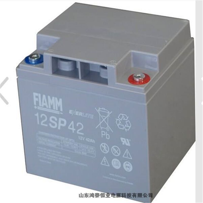 非凡FIAMM鉛酸蓄電池FG21703 12V17AH原裝現(xiàn)貨