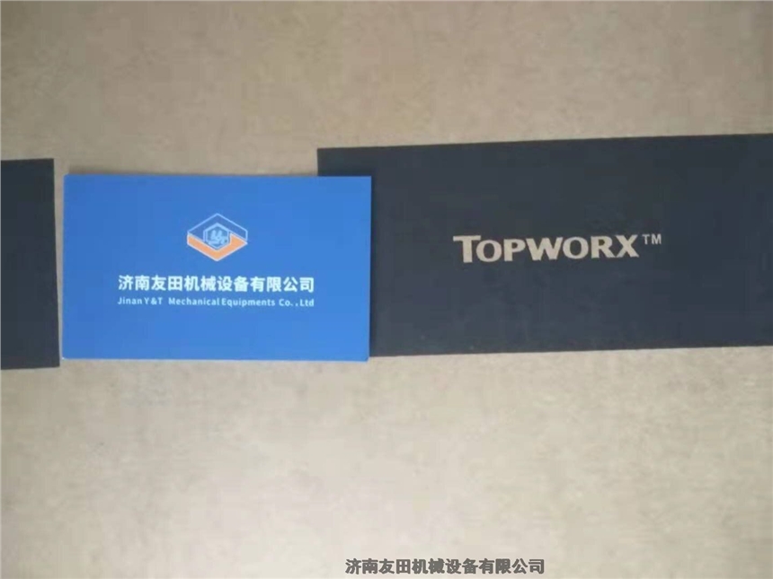 Topworx Go-Switch 11-12110-00限位開(kāi)關(guān)