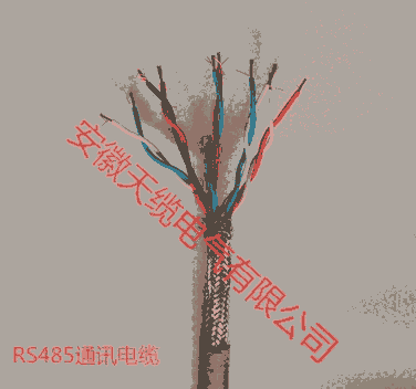 RS485屏蔽信號(hào)電纜/特性阻抗120Ω安徽天纜電氣有限公司