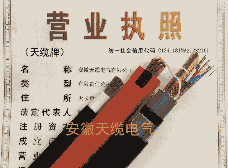 AGG-AC硅橡膠絕緣高壓點(diǎn)火線（皖特纜牌）安徽天纜電氣有限公司