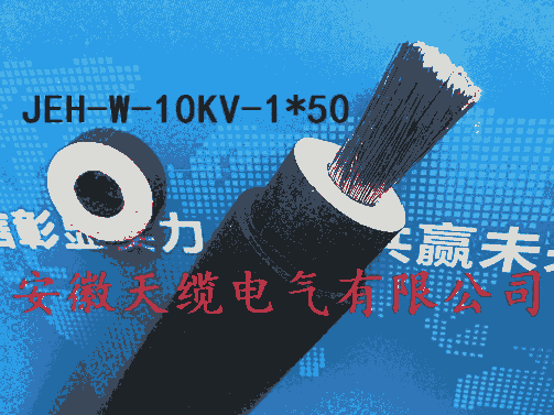 1140V電機(jī)引接線JBQ-95平方安徽天纜電氣有限公司供應(yīng)