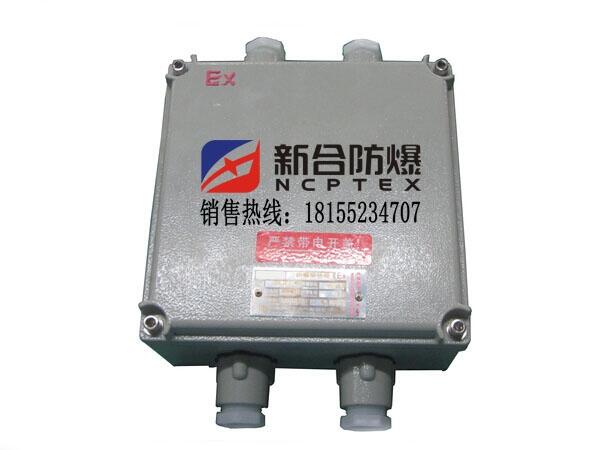 水處理專(zhuān)用新合防爆接線(xiàn)箱
